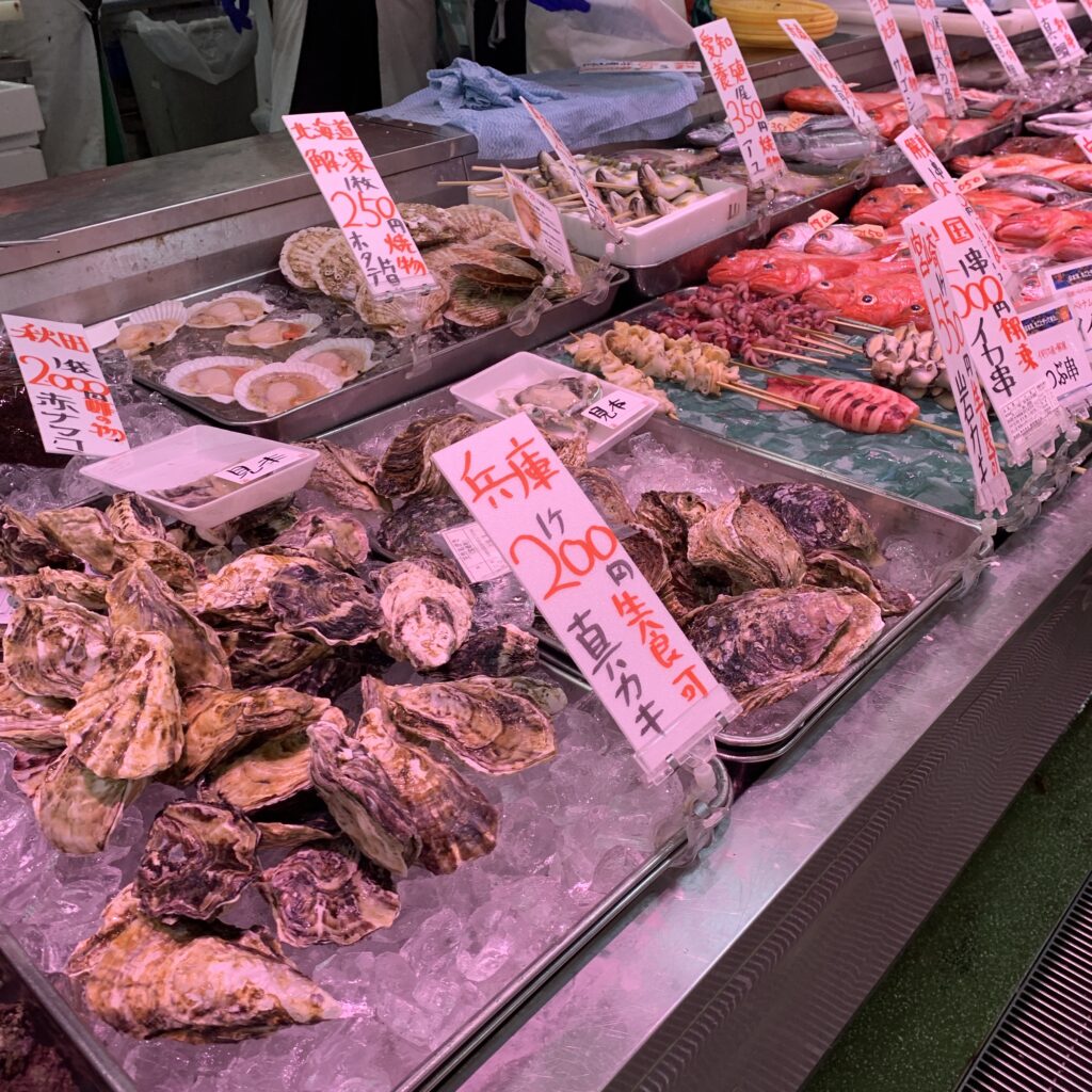 角上魚類